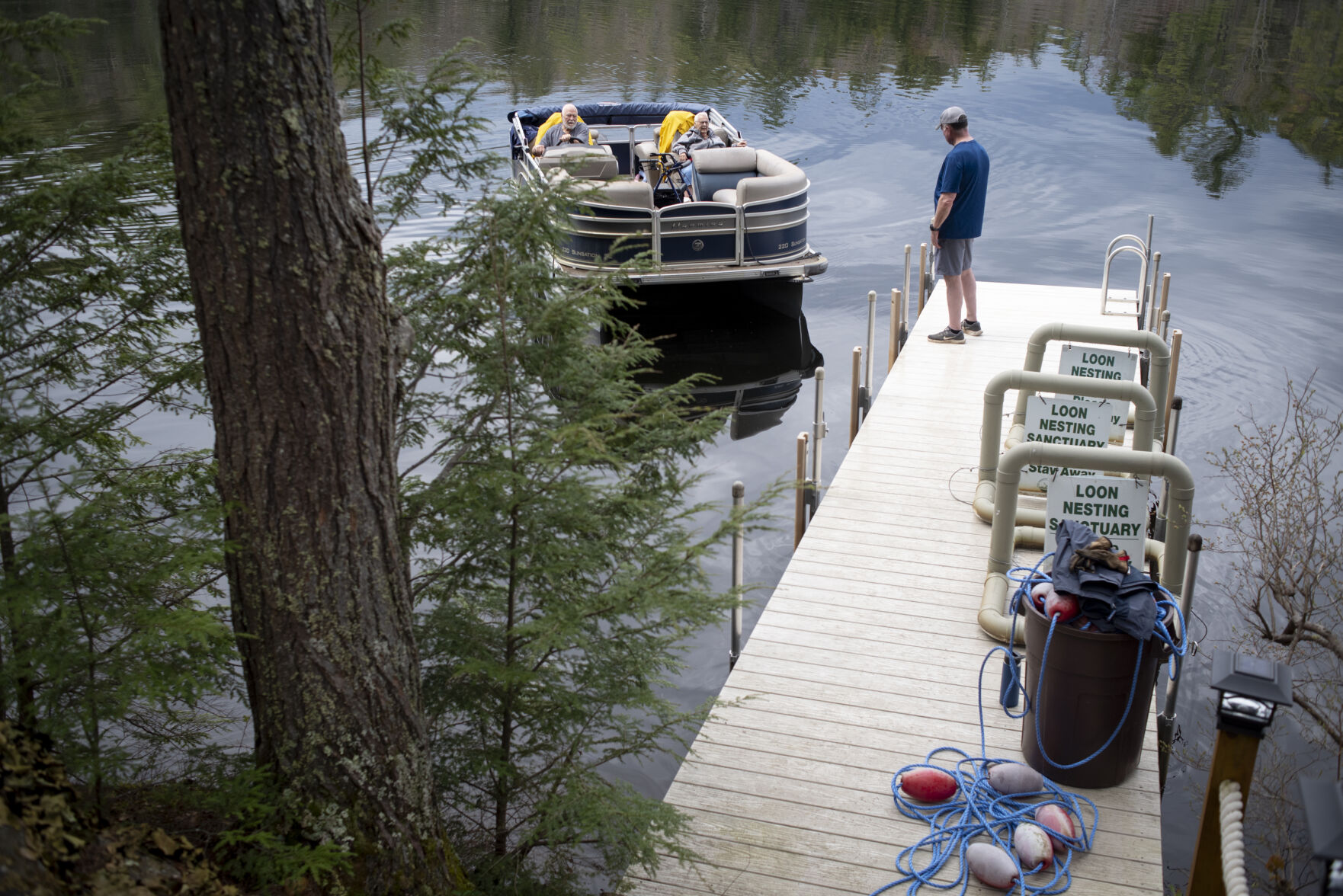 Manmade nests help grow loon population